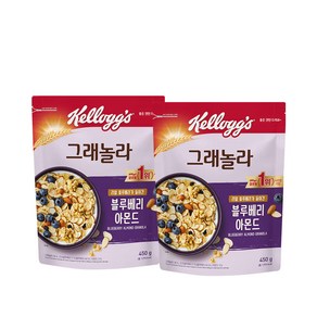 켈로그 블루베리 아몬드 그래놀라 시리얼, 450g, 2개