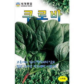 쿠로바 시금치 씨앗 여름 종자 채소 씨 spinach 30g, 1개