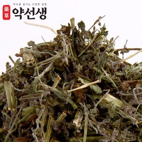 약초약선생 국산 말린 건조 곰보배추 차 300g, 1개