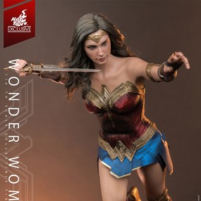 Hottoys 핫토이 MMS698 원더 우먼 DC 워너 브라더스 1/6스케일피규어, 1개