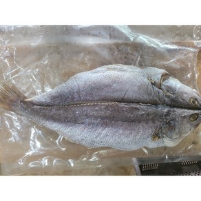 완도 자연산 반건조 민어 특대(60cm 이상 생물기준2kg 이상) 조기(25cm)무료 특대 구매시 민어부레 무료증정, 1개, 생물기준 400g