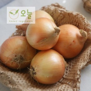[오늘야채]25년 창녕 햇양파(프리미엄 특대-7cm이상) 산지직송 1박스, 1개, 3kg
