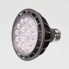 비츠온 PAR30 LED 15W 집중 스포트형 전구색 3000K, 1개