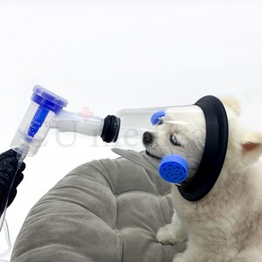 [당일발송] 강아지 네블라이저 유로넵 고양이 네뷸라이저