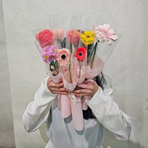 3개세트 한송이 생화 감성 포장 꽃 양재꽃시장 생화택배, 카네이션 진한색, 3개
