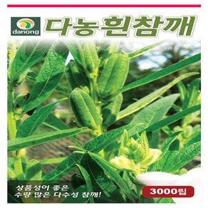 흰참깨 3000립 다농, 1개