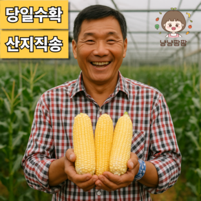냠냠팜팜 달콤달달 초당옥수수 국내산 초고당도 프리미엄 옥수수, 1박스, 중과 5개(NON-GMO)