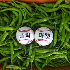 클릭마켓 국내산 꽈리고추 4kg