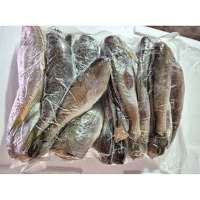 반건조 두절 참조기 깨끗한 손질 맛있는 간 목포거시기수산 1kg 대(21미... 1개