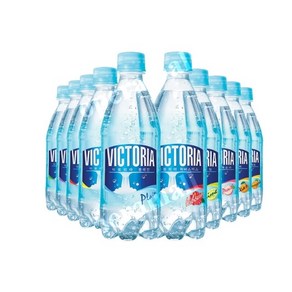 빅토리아 탄산수 500ml*20입 12종 모음, 500ml, 파인애플