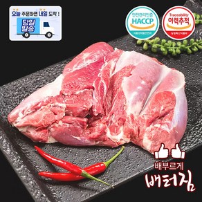 (당일출돼지) 캠핑가자! 숙성 양고기 모음1kg 양사각갈비 2소스, 1개, 청정지역냉장양어깨살