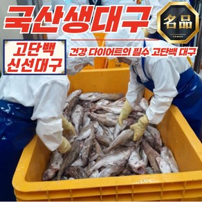 국내산 고단백 급냉 생대구 (비손질) 2kg (3-5미), 1개