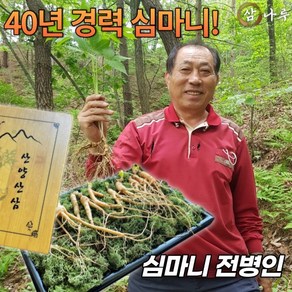 40년경력 심마니 전병인의 삼나루 산양산삼 산양삼 7년근 10뿌리 세트 부모님 명절선물, 1개