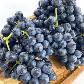 [하루3식] 씨없는 고당도 세이블 블랙 포도 1kg, 1개