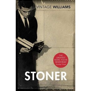 Stone (Vintage Classics):A Novel, Vintage Classics