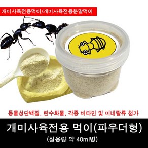 개미사육전용먹이/개미먹이파우더형/개미전용분말먹이