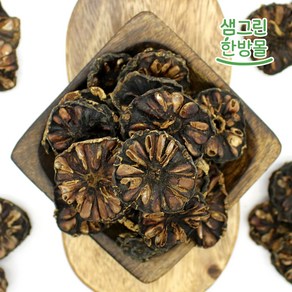 건노니 500g+500g 인도네시아 정품노니