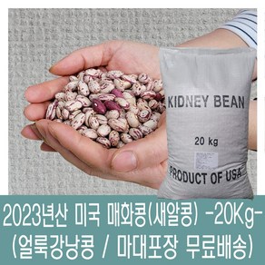 [다온농산] 수입 미국산 매화콩/매화강낭콩/새알콩 -20Kg- 쌀마대 벌크, 1개