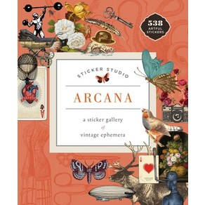 Sticke Studio: Acana: A Sticke Galley of Vintage Ephemea Hadcove, Castle Point Books, English, 9781250279330