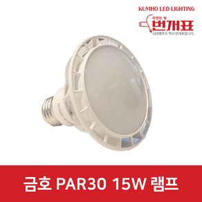 금호전기/번개표/LED PAR30/15W/지향형/확산형/할로겐 100W 대체/LEDP301585N-LHE/LEDP301585N-DHE/전구색/주광색/전구 램프 조명, 지향형 3000K (노란빛), 1개