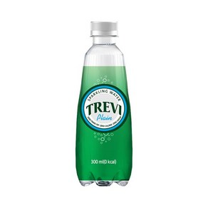 트레비 플레인 탄산수 300ml 20페트, 1개