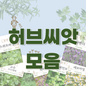 허브 씨앗, 1개, 3.  H03 딜 (100립)