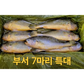 검증된 부세조기 7마리 3.4kg 1박스 (제수용 생선구이 ) 왕특대 30cm이상, 1개