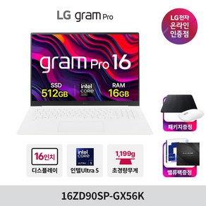 LG 그램16 프로 16ZD90SP-GX56K 512교체, Fee DOS, 16GB, 512GB, 화이트