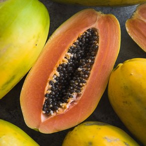 강진농장 장흥 해남 그린파파야 3kg GeenPapaya 옐로우파파야 3kg, 1개