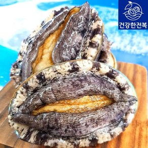 건강한 완도활전복1kg(5~6미), 단품, 단품