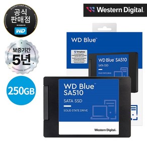 WD Blue SA510 SATA SSD, 250GB, SA510 3D