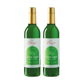 베네치아 그린애플시럽 750ml 2개세트, 2개