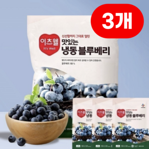 CJ프레시웨이 이츠웰 맛있는 냉동 블루베리, 1kg, 3개