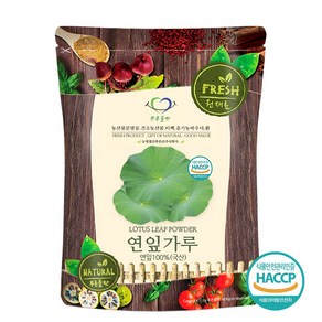 푸른들판 국산 연잎 가루 100% HACCP 인증 연꽃잎 하엽 분말 파우더, 100g, 1개