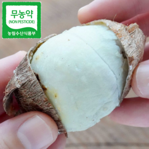 {산지직송] 무농약 곡성토란 햇토란 깐토란