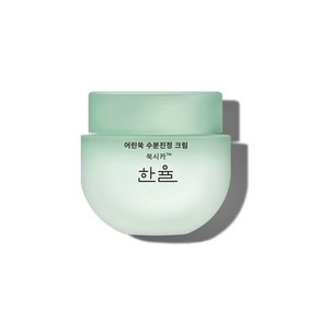 한율 어린쑥 수분진정 크림 55ml, 1개