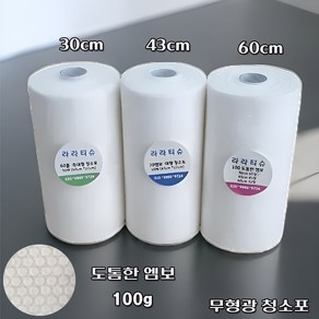 라라티슈 정전기 청소포 도톰한 엠보100g 대형 43cm*22cm물걸레겸용 행주 대용량 건티슈, 180개