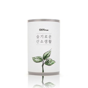 옥시피아 카 Oxypia Ca 90g - 고체산소 산소발생 CO2 제거 공기정화 미세먼지유해물질제거 VOCs제거 새차증후군, 1개