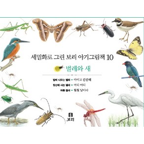 세밀화로 그린보리 아기그림책 10: 벌레와 새, 보리