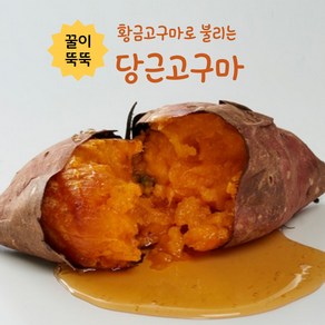 탐나는것들 꿀이 뚝뚝 황토밭 햇 황금고구마 당근고구마 산지직송, 1박스, 상중로얄 1kg