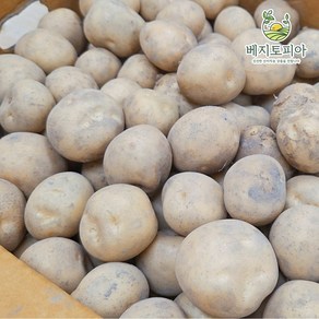 [업소용 대용량]25년 햇감자 수미 알감자 휴게소 감자 중 조림사이즈 5kg 10kg 20kg, 1박스, 조림용(초특가) 20kg