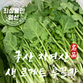 국산 로케트 루꼴라 샐러드용 생 루꼴라 1kg