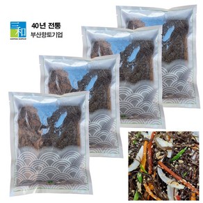 [삼화해조류] 완도 소금줄인 꼬시래기 500g 소포장 최고의 영양반찬