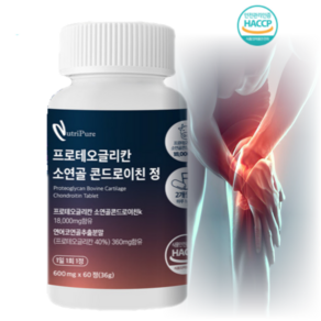 프로테오글리칸 소연골 콘드로이친 HACCP인증 600mg x 60정 (1개월분), 1개