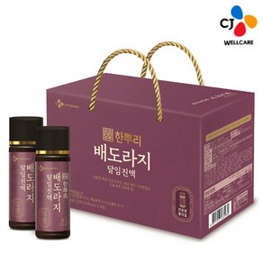 CJ 한뿌리 선물세트 배도라지 달임진액 100ml, 20개