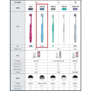 유한 덴탈케어 프로페셔널 성인용 이중미세모 (치과전용)