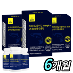 [최적배합] 프로테오글리칸 100% 연어코연골 추출물 HACCP 식약처 600mg 보스웰리아 우슬 상어연골 프리테오글리칸 웰빙곳간, 60정, 3개