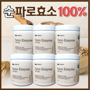[속편한 효소] 100% 순 파로 효소 이탈리아산 달지 않고 고소한 미숫가루 맛 6통 6개월분, 6세트, 120g