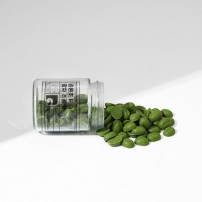김보람초콜릿 [수제초콜릿]김원초 F 말차 초콜릿, 1개, 110g