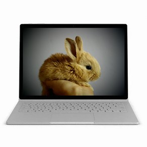 마이크로소프트 서피스 북2 1832 13.5인치 i7-8650U/8G/256G/윈10 USB-C 지원, WIN10, 8GB, 256GB